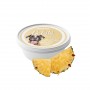 Friandise Chien 'Crème Glacée Ananas' | FidOVet - Suggestion