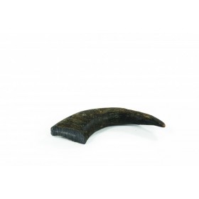 Friandise Chien 'Pointe Corne Buffle' | Perro