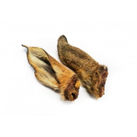 PERRO oreille de cerf avec fourrure