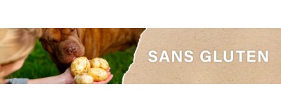 Croquettes pour Chien sans Gluten | PERRO