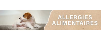 Croquettes pour Chien Allergique | PERRO