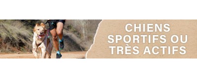 Croquettes pour Chien Actif et Sportif | PERRO
