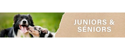 Croquettes pour Chiot et Chien Senior | PERRO