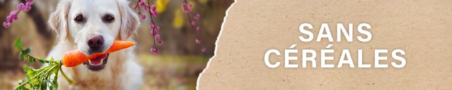 Croquettes pour Chien sans Céréales | PERRO