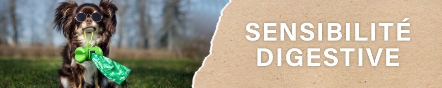 Croquettes pour Chien Sensible | PERRO
