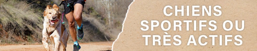 Croquettes pour Chien Actif et Sportif | PERRO