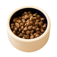 Découvrir la nourriture pour chat PERRO